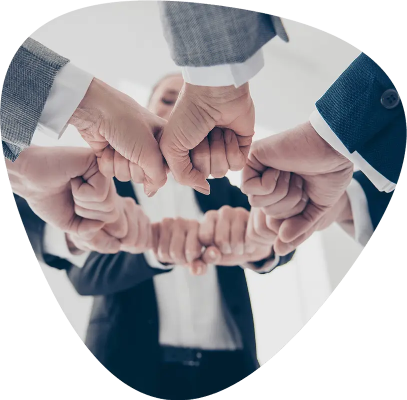 Creare Website și Optimizare SEO București